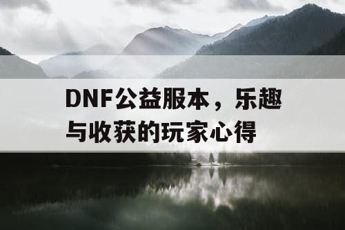 DNF公益服本，乐趣与收获的玩家心得