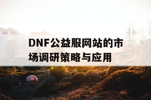 DNF公益服网站的市场调研策略与应用