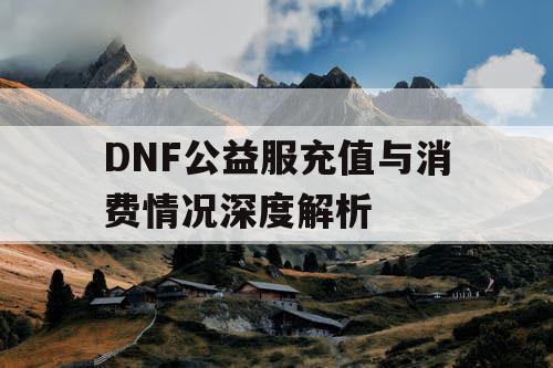 DNF公益服充值与消费情况深度解析