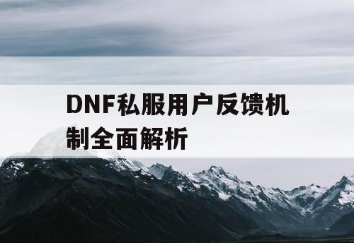 DNF私服用户反馈机制全面解析