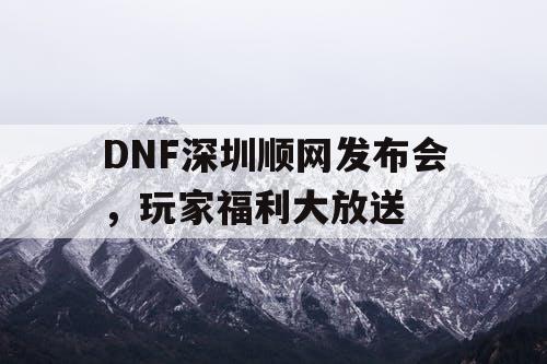 DNF深圳顺网发布会	，玩家福利大放送