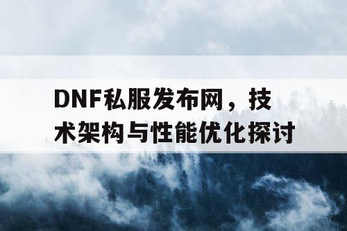 DNF私服发布网	，技术架构与性能优化探讨