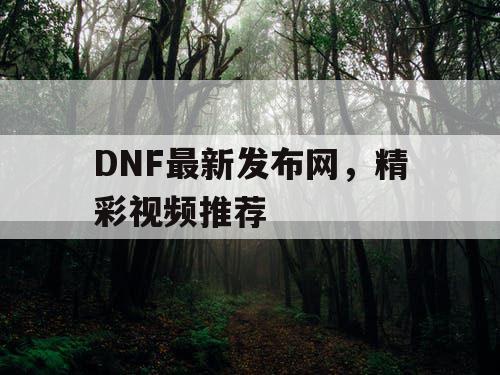 DNF最新发布网，精彩视频推荐