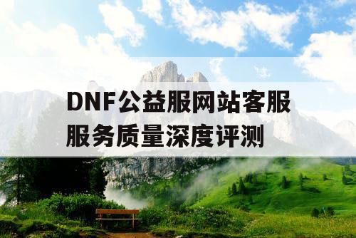 DNF公益服网站客服服务质量深度评测