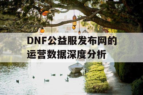 DNF公益服发布网的运营数据深度分析