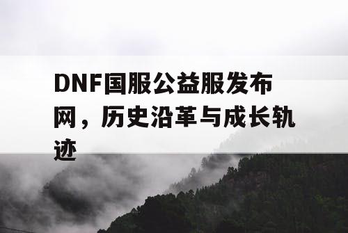 DNF国服公益服发布网，历史沿革与成长轨迹