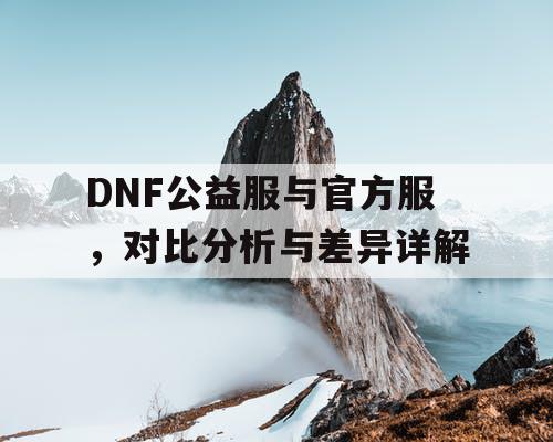 DNF公益服与官方服，对比分析与差异详解