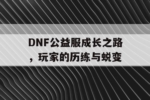 DNF公益服成长之路	，玩家的历练与蜕变