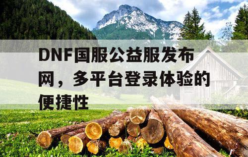 DNF国服公益服发布网，多平台登录体验的便捷性