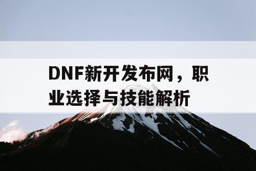 DNF新开发布网，职业选择与技能解析