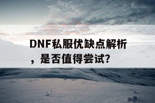 DNF私服优缺点解析，是否值得尝试？