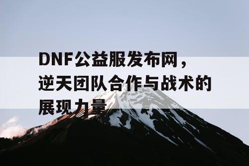 DNF公益服发布网，逆天团队合作与战术的展现力量