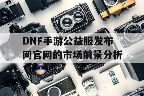 DNF手游公益服发布网官网的市场前景分析