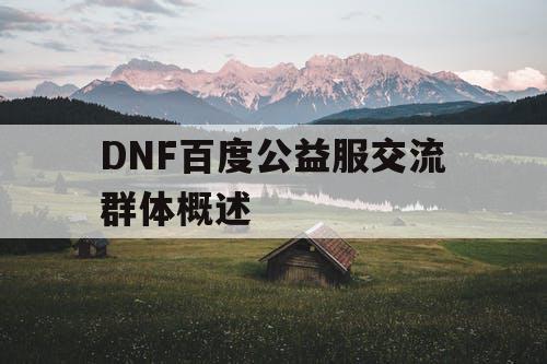 DNF百度公益服交流群体概述