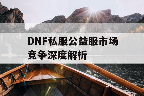 DNF私服公益服市场竞争深度解析