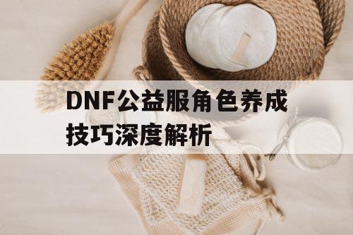 DNF公益服角色养成技巧深度解析