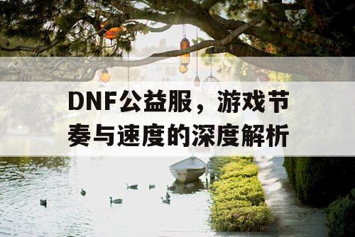 DNF公益服，游戏节奏与速度的深度解析