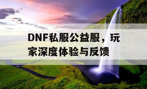 DNF私服公益服，玩家深度体验与反馈