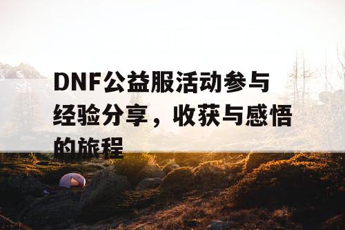 DNF公益服活动参与经验分享，收获与感悟的旅程