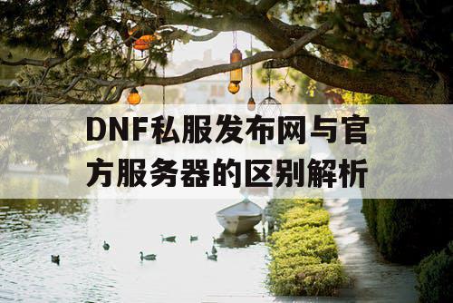 DNF私服发布网与官方服务器的区别解析