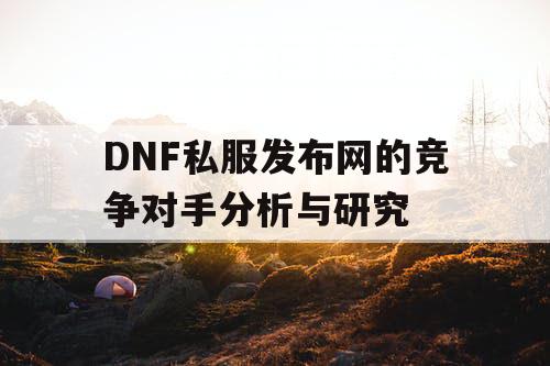 DNF私服发布网的竞争对手分析与研究