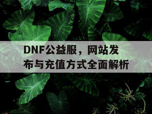 DNF公益服	，网站发布与充值方式全面解析