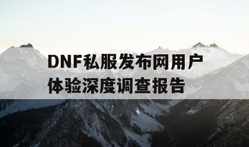 DNF私服发布网用户体验深度调查报告