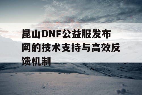 昆山DNF公益服发布网的技术支持与高效反馈机制