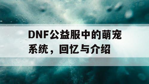 DNF公益服中的萌宠系统，回忆与介绍