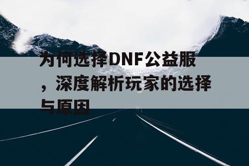 为何选择DNF公益服，深度解析玩家的选择与原因