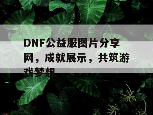 DNF公益服图片分享网	，成就展示，共筑游戏梦想