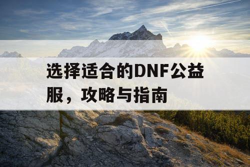 选择适合的DNF公益服，攻略与指南