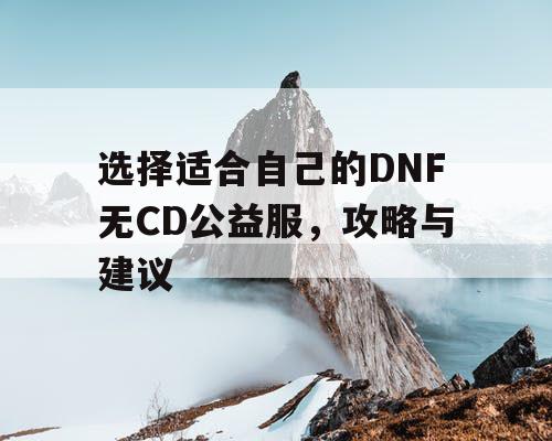 选择适合自己的DNF无CD公益服	，攻略与建议