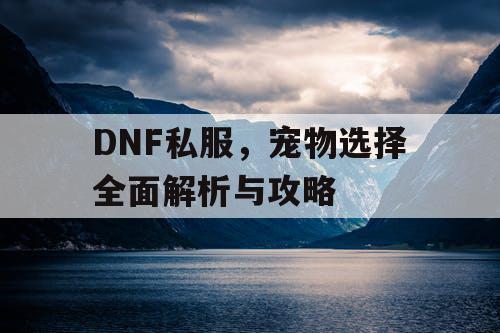 DNF私服，宠物选择全面解析与攻略