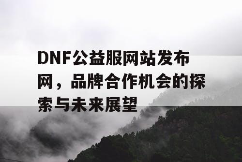 DNF公益服网站发布网，品牌合作机会的探索与未来展望