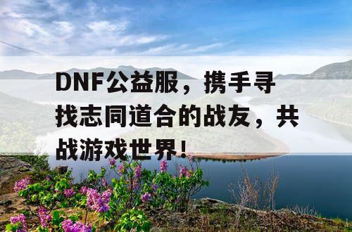 DNF公益服，携手寻找志同道合的战友，共战游戏世界！