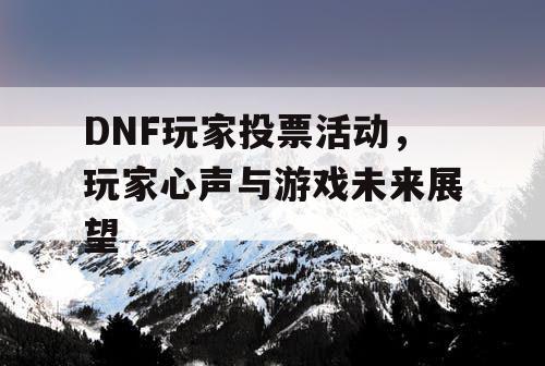 DNF玩家投票活动	，玩家心声与游戏未来展望