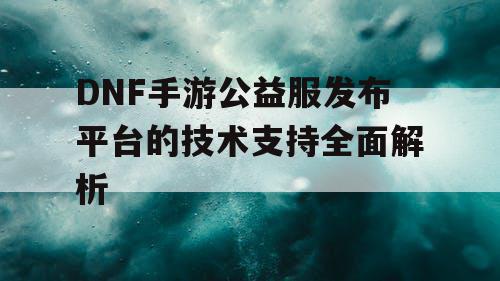 DNF手游公益服发布平台的技术支持全面解析