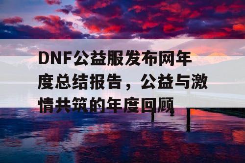 DNF公益服发布网年度总结报告，公益与激情共筑的年度回顾