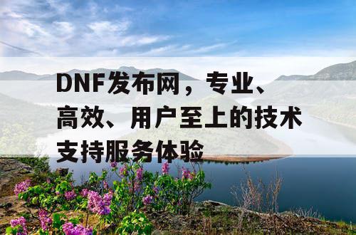 DNF发布网，专业	、高效、用户至上的技术支持服务体验