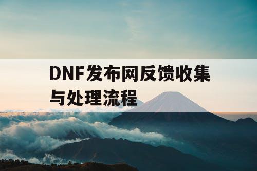 DNF发布网反馈收集与处理流程