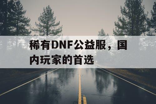 稀有DNF公益服，国内玩家的首选