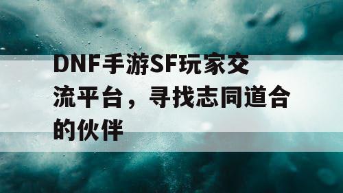 DNF手游SF玩家交流平台，寻找志同道合的伙伴