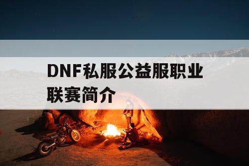 DNF私服公益服职业联赛简介