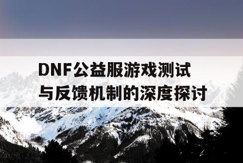 DNF公益服游戏测试与反馈机制的深度探讨