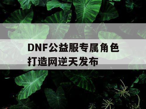 DNF公益服专属角色打造网逆天发布