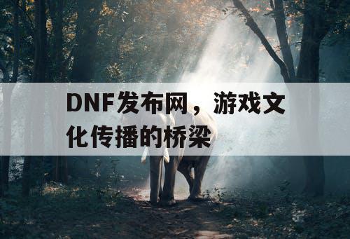 DNF发布网	，游戏文化传播的桥梁