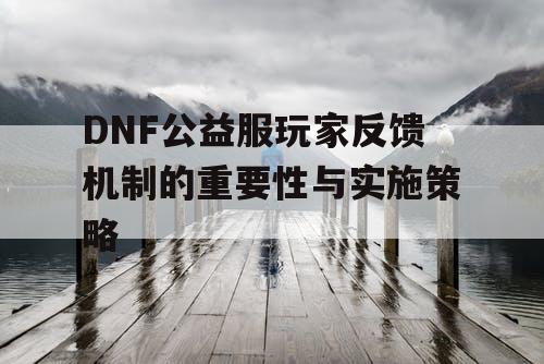 DNF公益服玩家反馈机制的重要性与实施策略