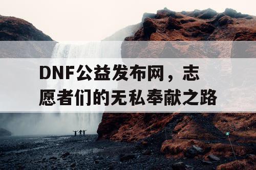 DNF公益发布网，志愿者们的无私奉献之路