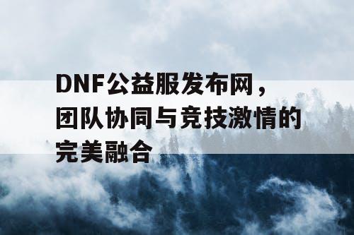 DNF公益服发布网，团队协同与竞技激情的完美融合